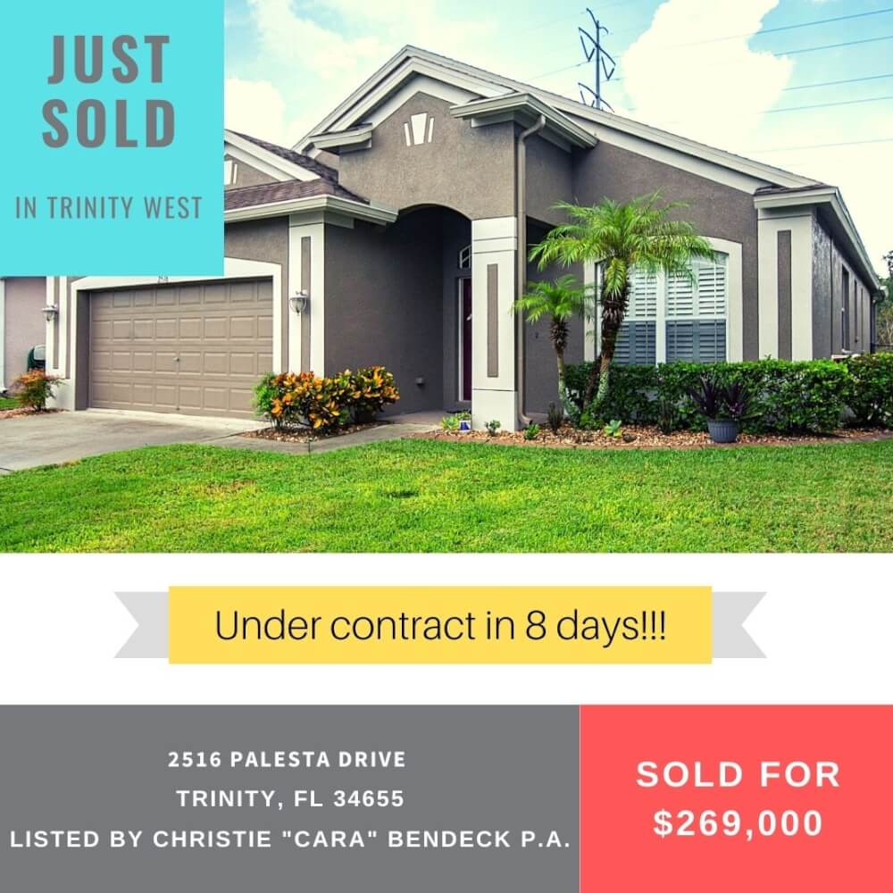 Read more about the article JUST SOLD!!!  2516 Palesta Dr., Trinity, FL  34655